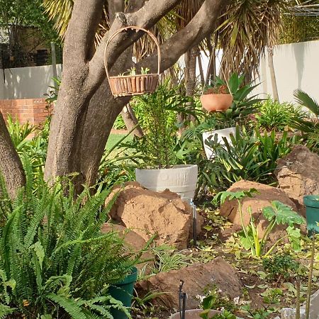 Elephant Bush Guest Cottage アルバートン エクステリア 写真